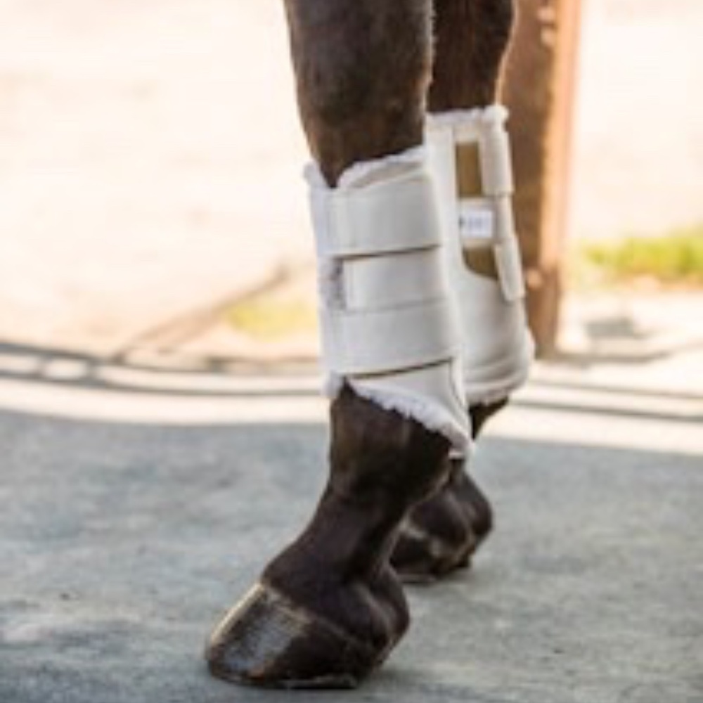 EuroPro Horse Boot- FRONT AND BACK-